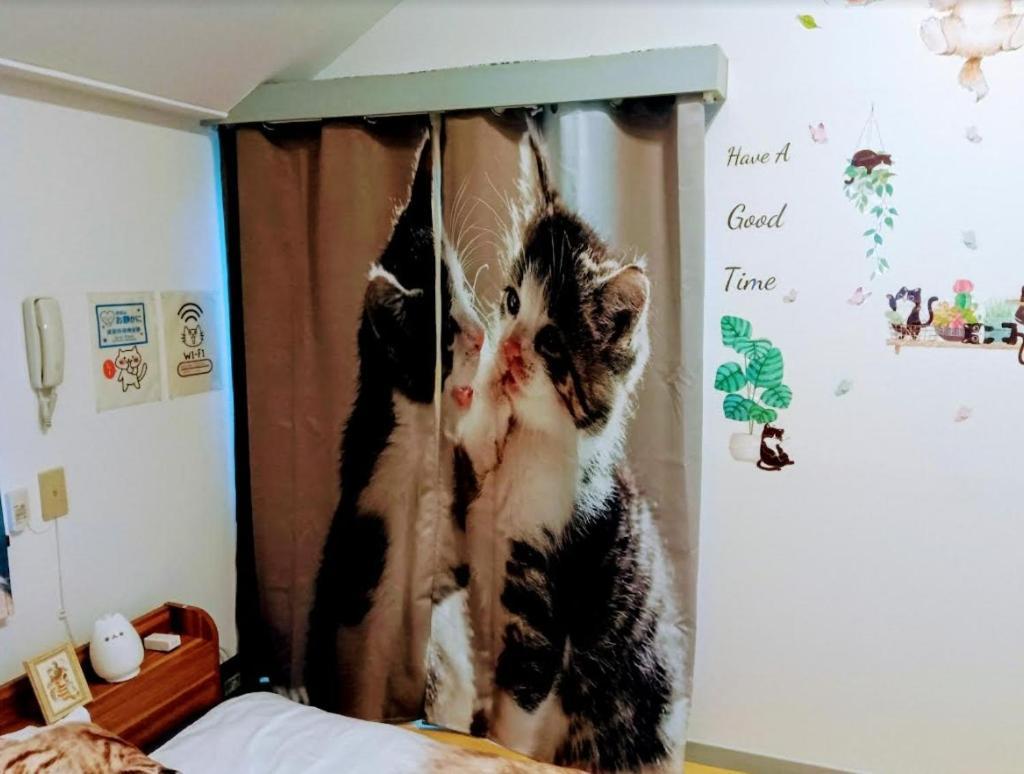 Tokyo Shibuya Shinjyuku Cat House ! Tóquio Exterior foto