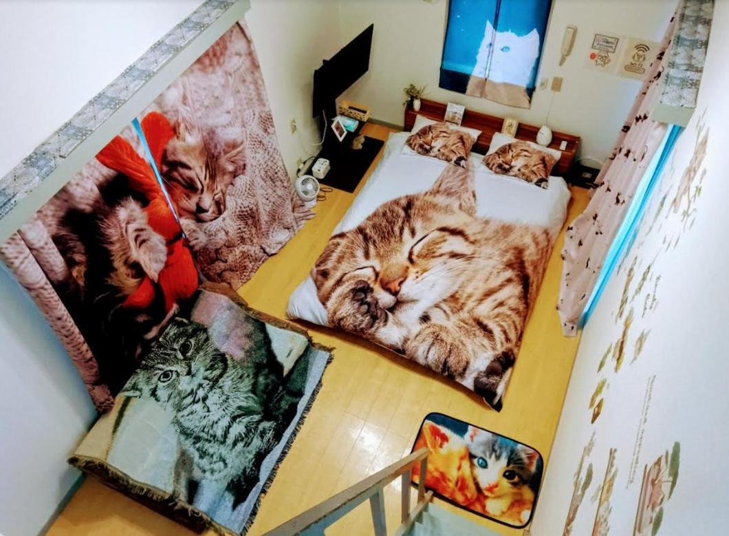 Tokyo Shibuya Shinjyuku Cat House ! Tóquio Exterior foto
