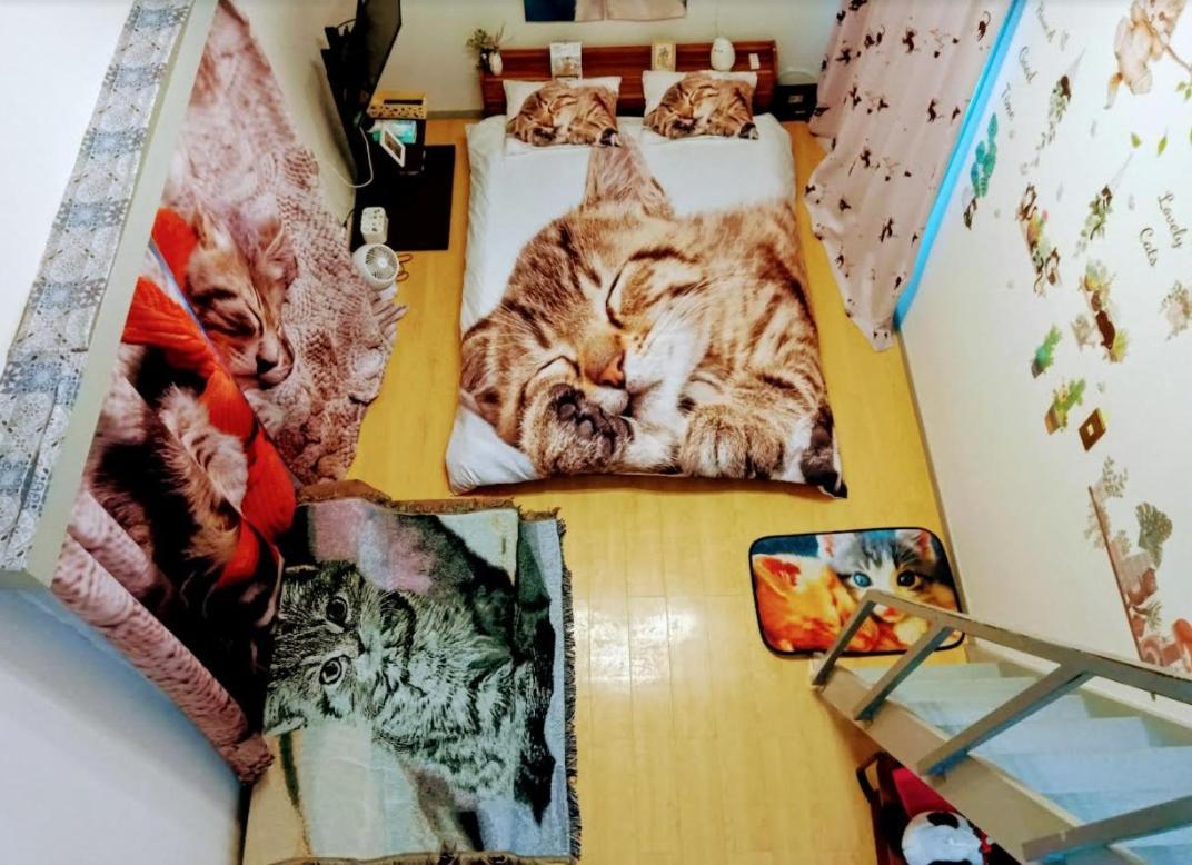 Tokyo Shibuya Shinjyuku Cat House ! Tóquio Exterior foto
