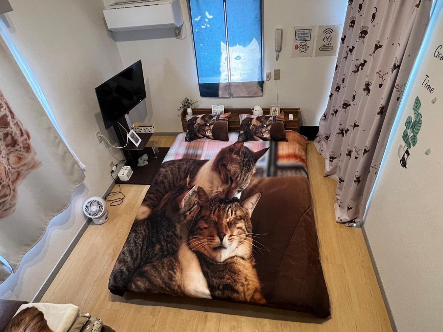 Tokyo Shibuya Shinjyuku Cat House ! Tóquio Exterior foto