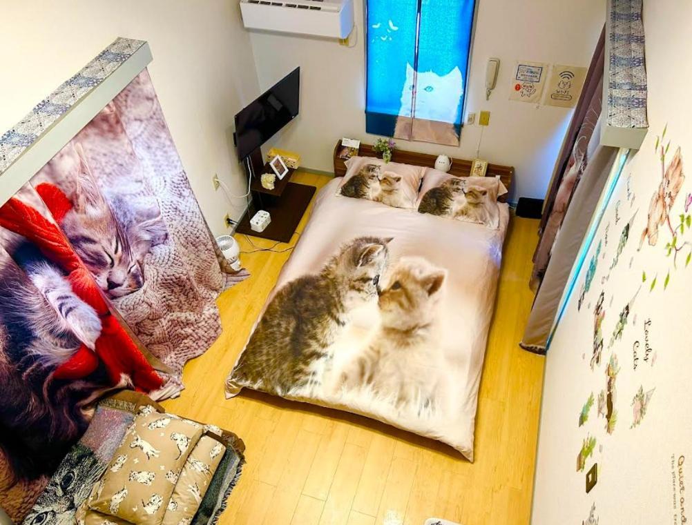 Tokyo Shibuya Shinjyuku Cat House ! Tóquio Exterior foto