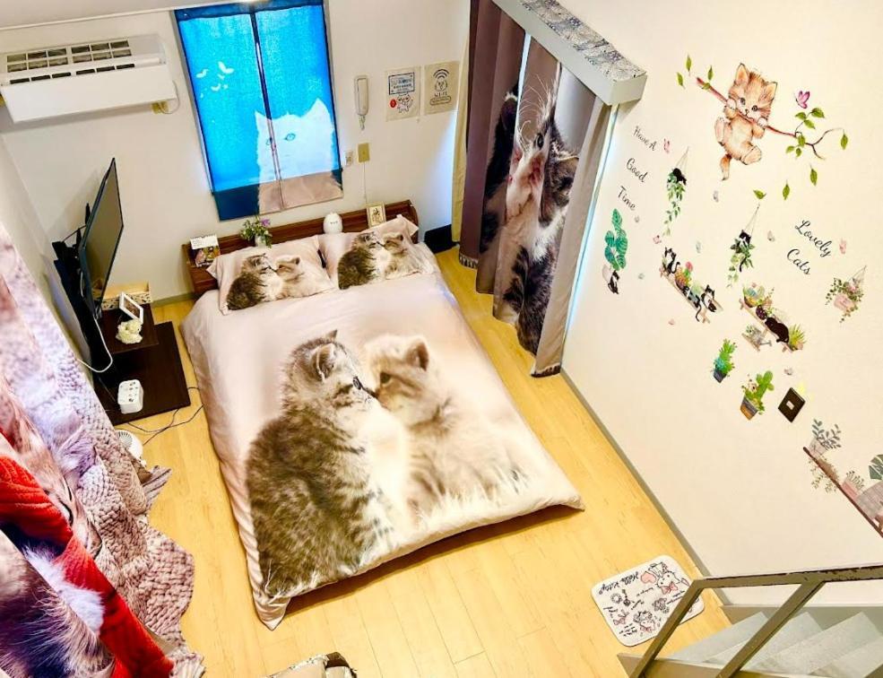 Tokyo Shibuya Shinjyuku Cat House ! Tóquio Exterior foto